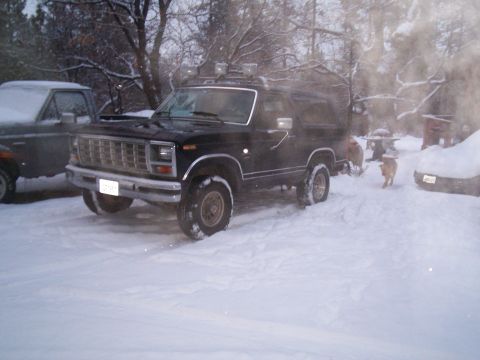 1986 Ford Bronco - Black Ford Bronco in a snowy yard with another vehicle and two dogs.