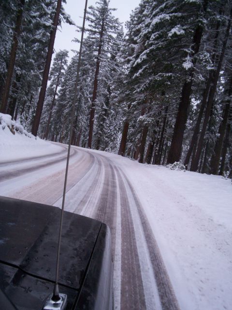 1986 Ford Bronco - Driving on a snow-covered road through a forest, with the hood and antenna of a black SUV visible in the foreground.