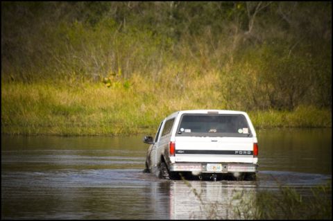 1996 Ford F-150 - White 1996 Ford F-150 pickup truck navigates through a water-covered area with vegetation in the background.