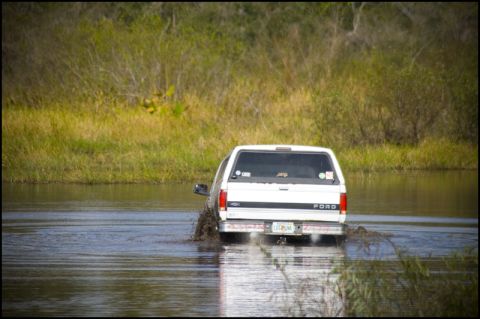 1996 Ford F-150 - A white Ford F-150 navigates through a watery area, creating a muddy wake.