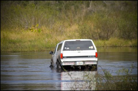 1996 Ford F-150 - A white Ford Bronco navigates through shallow water with vegetation in the background.
