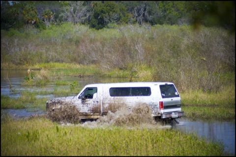 1996 Ford F-150 - A white 1996 Ford Bronco navigates through a muddy swamp, kicking up a large spray of water.