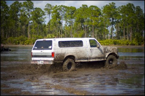 1996 Ford F-150 - This Ford Bronco is navigating through a muddy, watery terrain with trees in the background.