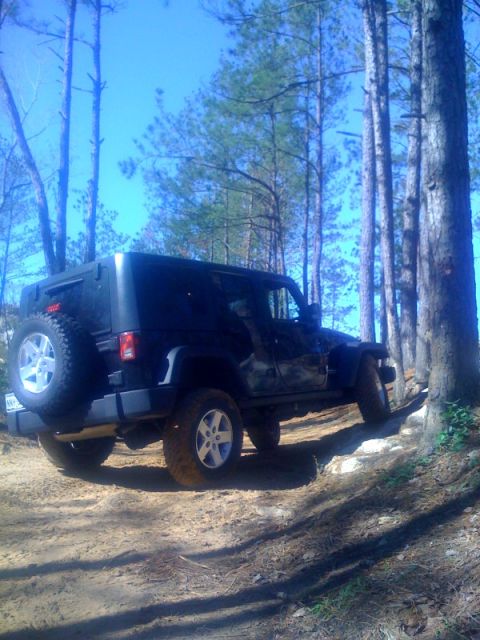 2008 Jeep Wrangler - A black Jeep Wrangler navigates a wooded dirt trail under a clear blue sky.