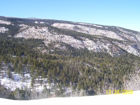 1993 Ford Bronco - A winter scene shows snow-dusted hills covered in evergreen trees under a bright blue sky.