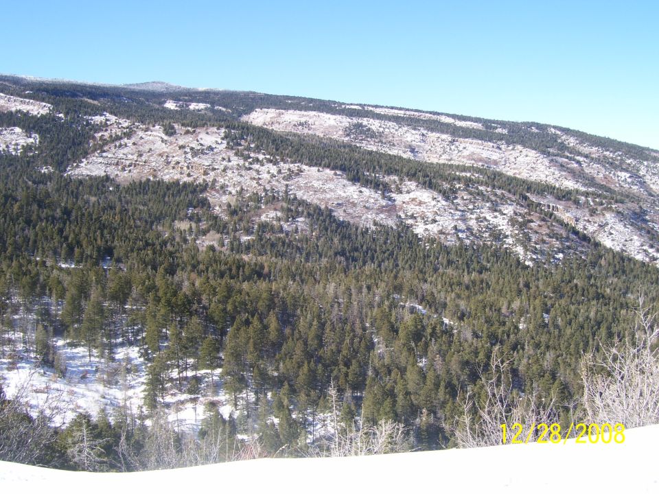 snowy forested mountains under a clear blue sky, with a date stamp of 12/28/2008