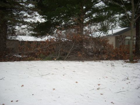 2000 Chevrolet Tahoe - Fallen tree branches litter a snowy yard in front of residential buildings.