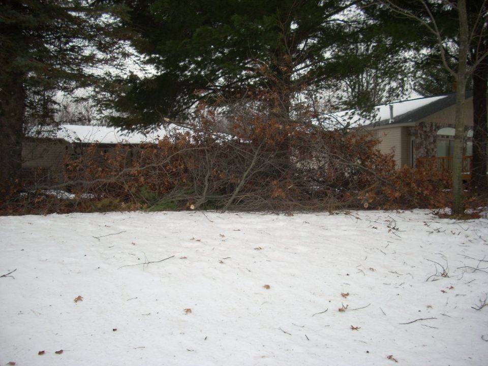 Snowy yard with fallen tree branches in front of houses