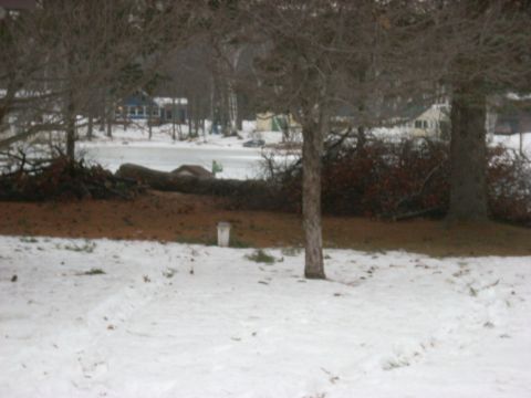 2000 Chevrolet Tahoe - Winter scene with houses visible through trees and snow on the ground.