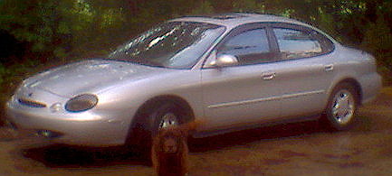 1997 Ford Taurus - My dog Bailey and my Taurus