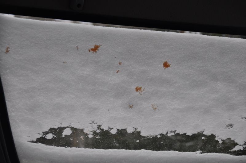 Snow-covered surface with scattered orange splatter marks