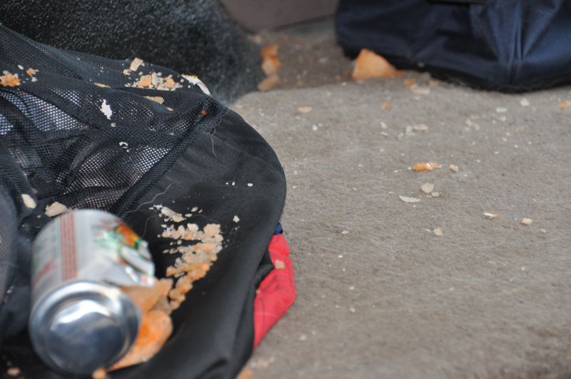 Crumbs and a soda can spilled onto a black mesh bag on carpet