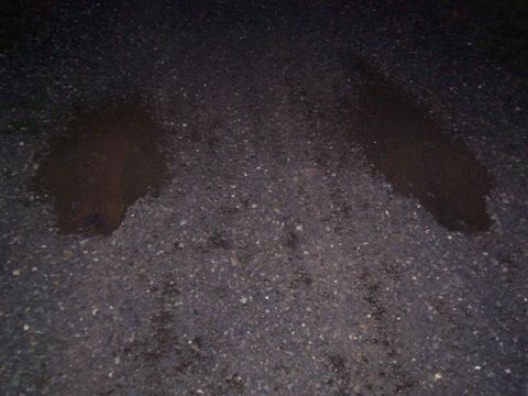 1986 Ford Bronco - The image shows two dark puddles on a dark asphalt surface, with a website watermark in the lower right corner.