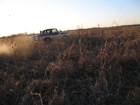 1979 Ford Bronco - crappy donut picture