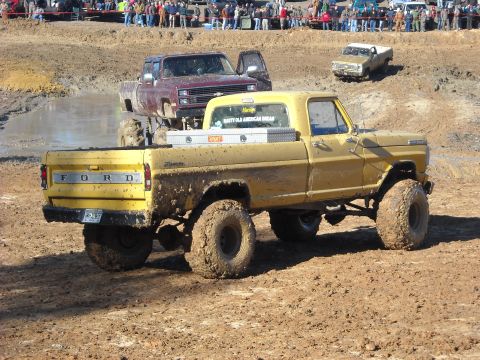 1979 Ford F-150