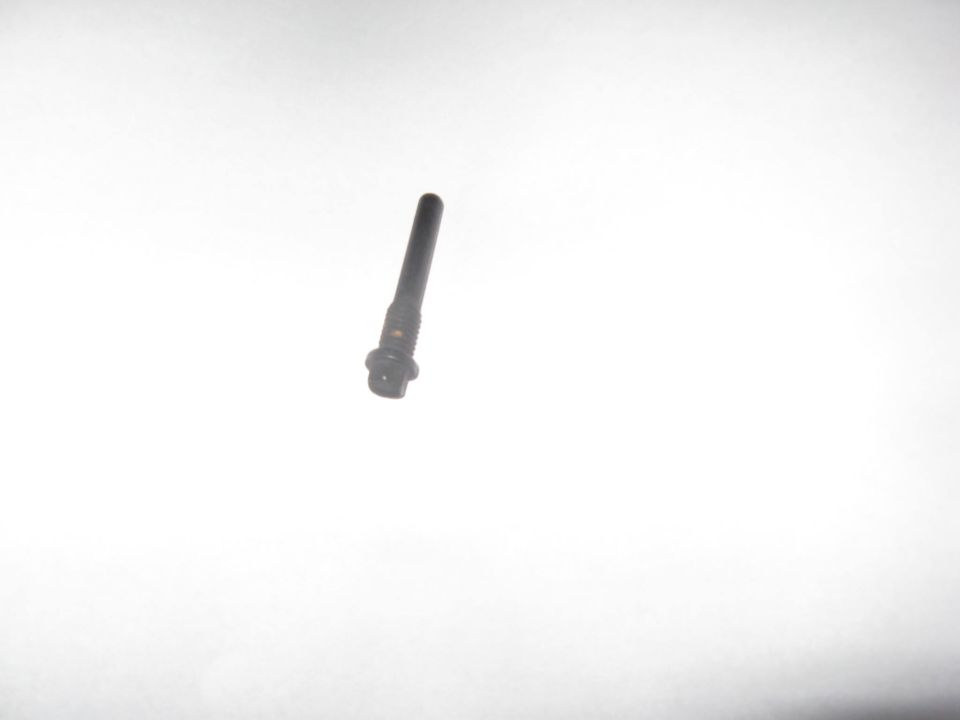 Dark hex-flange caliper slide pin bolt photographed on a white background
