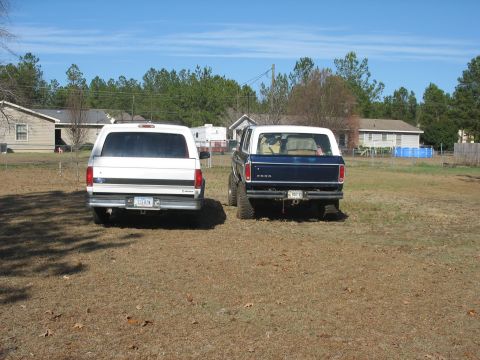 1978 Ford Bronco - Photo of a white Ford crew-cab and a dark Ford Bronco from the rear, not a technical document.