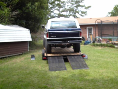 1978 Ford Bronco - A dark blue 1978 Ford Bronco is parked on a trailer in a grassy yard.