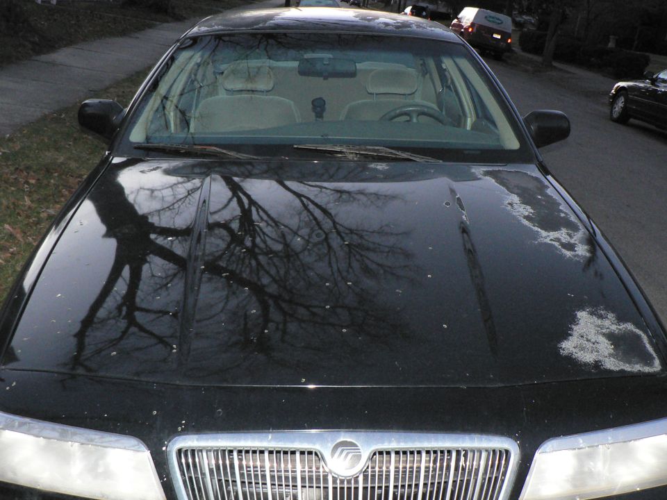 Looking down the hood of a dark green Mercury sedan to its chrome grille