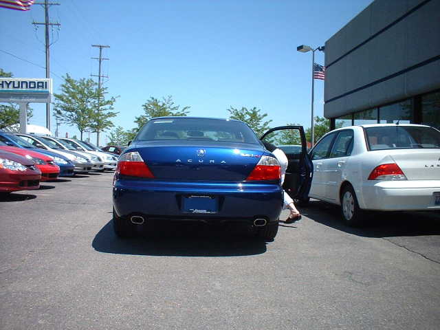 Rear view of blue Acura sedan parked at dealership next to white sedan
