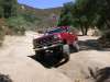 1996 Ford Bronco - A red SUV drives along a dirt path in a dry, wooded area, kicking up dust.