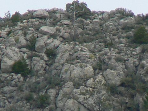 2006 Ford E350 - A rocky hillside landscape with sparse vegetation under an overcast sky.