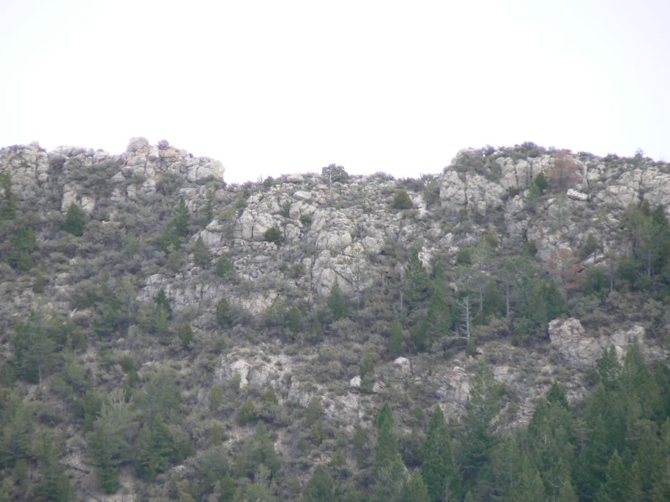 Rocky hillside covered in brush and scattered pine trees under a bright sky