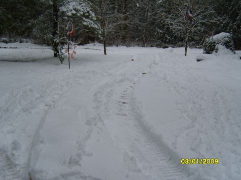 1989 Ford Bronco - A snowy driveway shows tire tracks, with a date stamp indicating March 1, 2009.