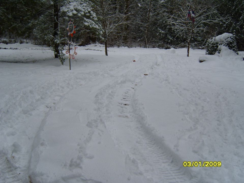 Snowy driveway with tire tracks and a date stamp of 03/01/2009