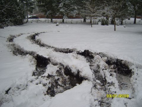 1989 Ford Bronco - Tire tracks in snow with a date stamp of 03/01/2009.