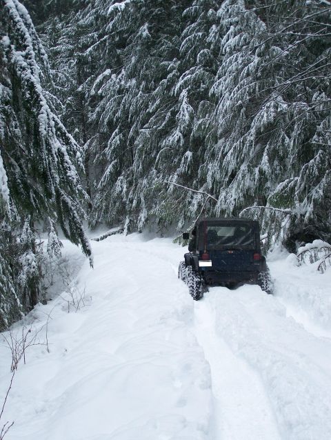 1988 Suzuki Samurai - A Jeep Wrangler navigates a snow-covered path surrounded by snow-laden evergreen trees.