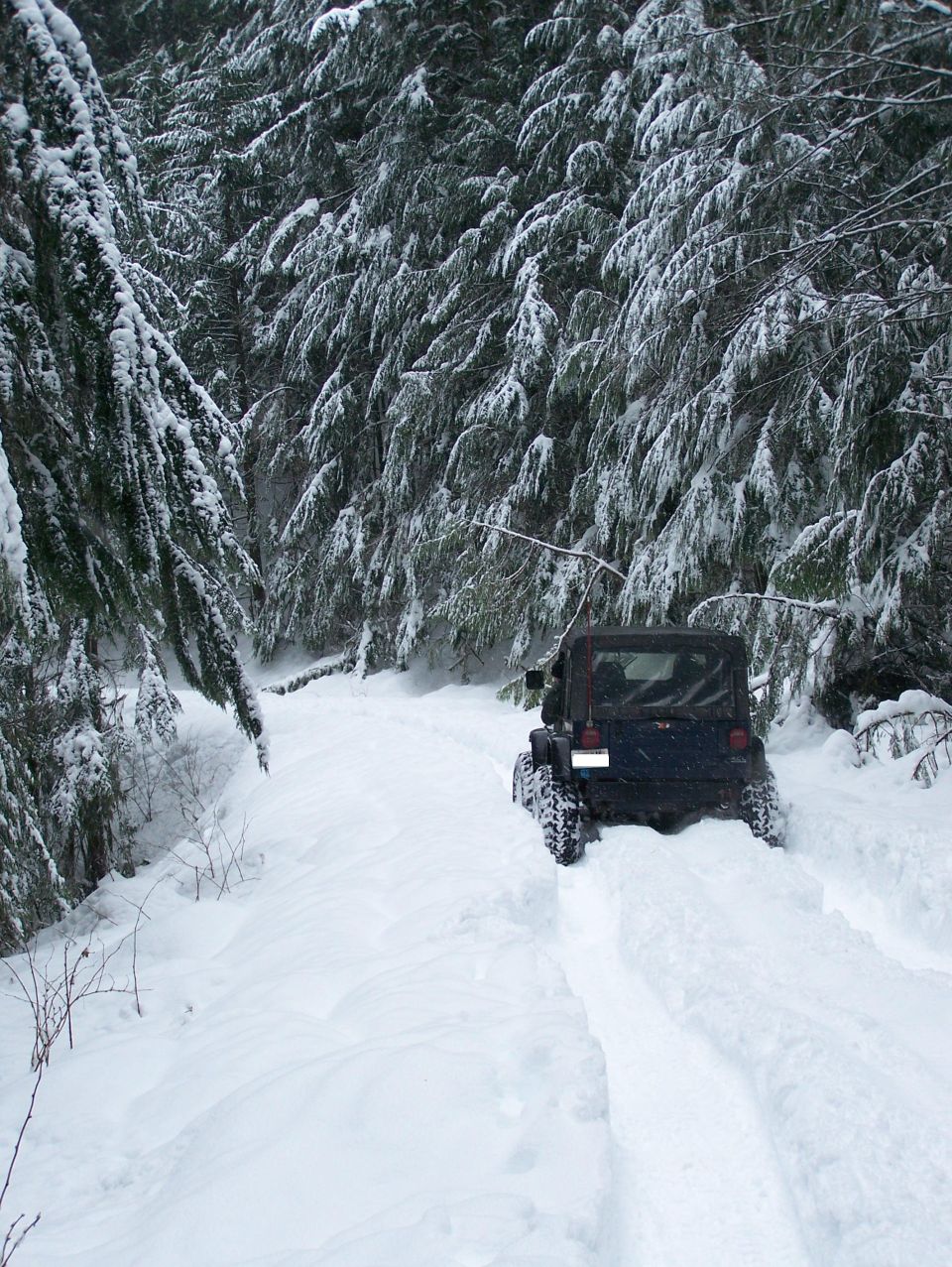 Jeep Wrangler driving on a snowy trail through a forest
