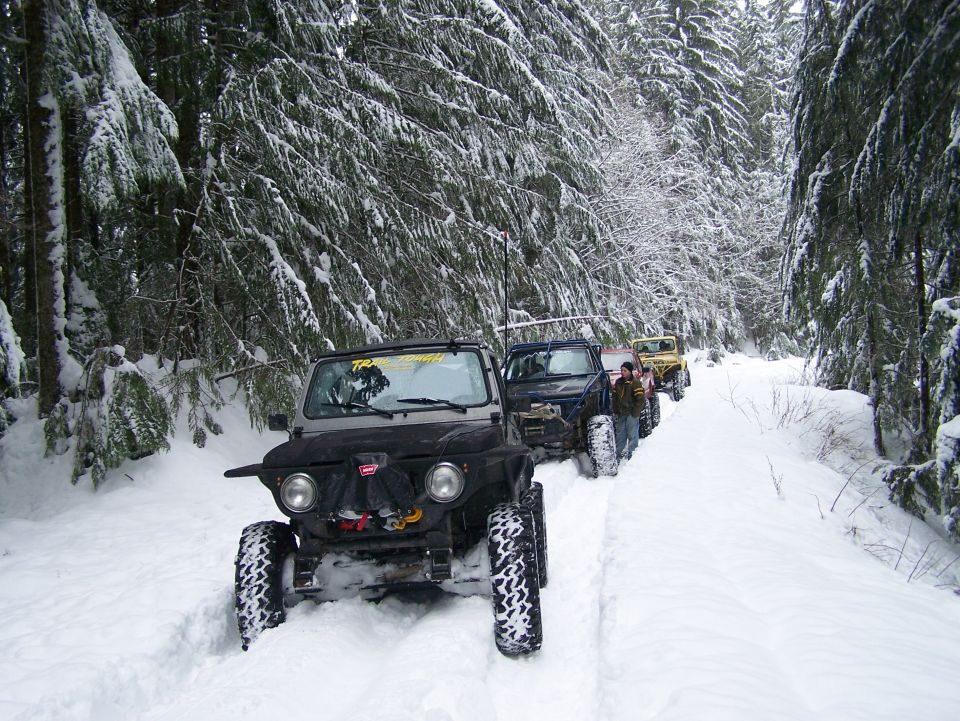 Four-wheel drive vehicles in a snowy forest road, front vehicle is black with large tires
