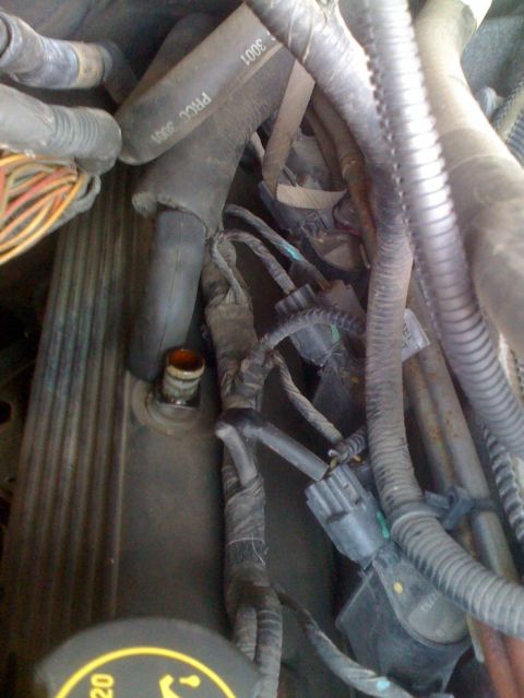 2007 Ford Mustang - Engine bay wiring and hoses, with visible part numbers on a hose.