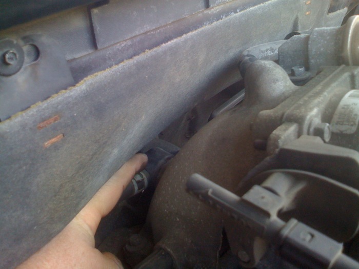 Close-up of a hose clamp on a car's engine