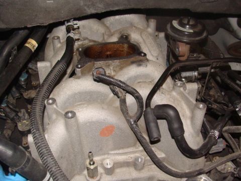 2007 Ford Mustang - This is a close-up view of a mechanical component within an engine bay.
