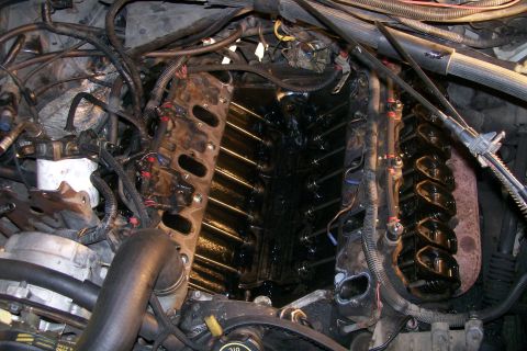 1992 Ford C-350 (Centurion Conversions) - Close-up view of an engine's internal components after valve cover removal.