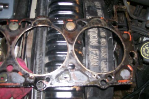 1992 Ford C-350 (Centurion Conversions) - Close-up of an engine gasket with a fan belt showing text in the background.