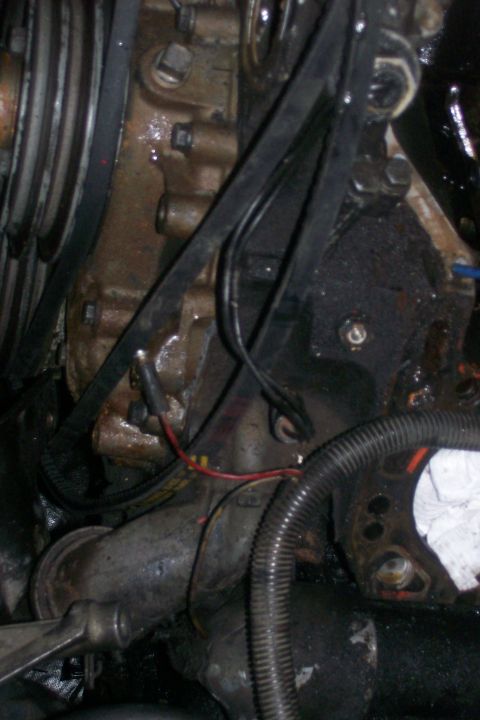 1992 Ford C-350 (Centurion Conversions) - Close-up view of an engine block, showing belts, hoses, and a water pump. The area appears to be related to engine maintenance.