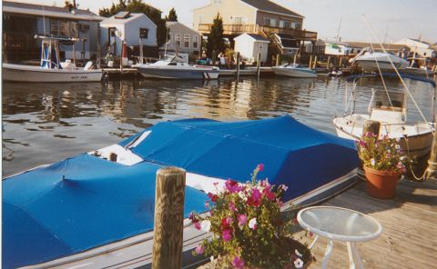 1985 Bayliner 2250 Cobra “SS Puntaini”