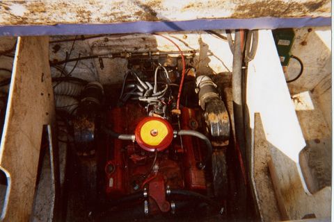 1985 Bayliner 2250 Cobra “SS Puntaini”