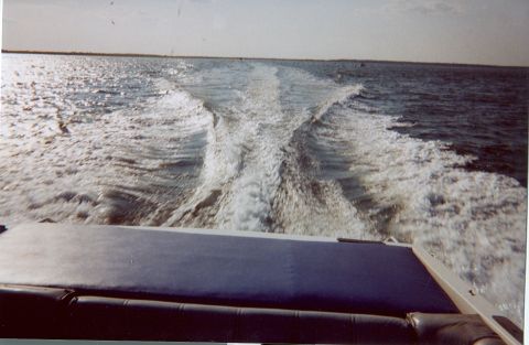 1985 Bayliner 2250 Cobra photo