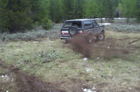 1988 Ford Bronco photo