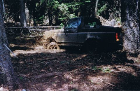 1988 Ford Bronco photo