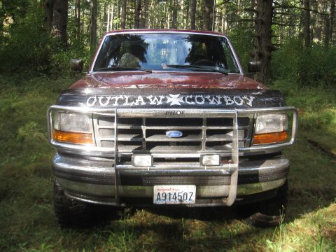 1995 Ford F-150 photo