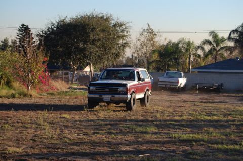 1989 Ford Bronco - in the yard