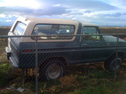 1983 Ford Bronco