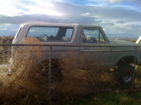 1983 Ford Bronco