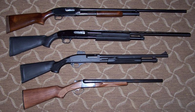 Four shotguns on a patterned carpet.
