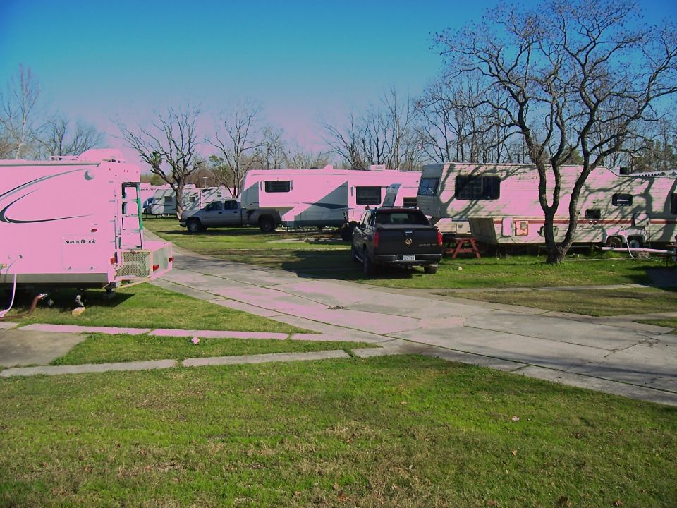 RV park with travel trailers and a pickup truck under bare trees